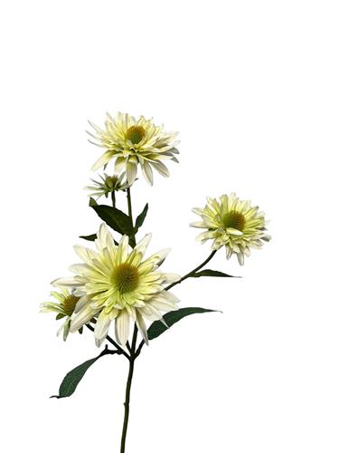 Kunstbloem Rudbeckia - wit - 73 cm