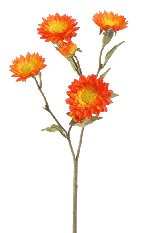 Kunstbloem Strobloem - Oranje - 65 cm