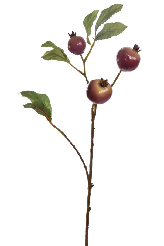 Kunstbloem Granaatappel - Paars - 70 cm