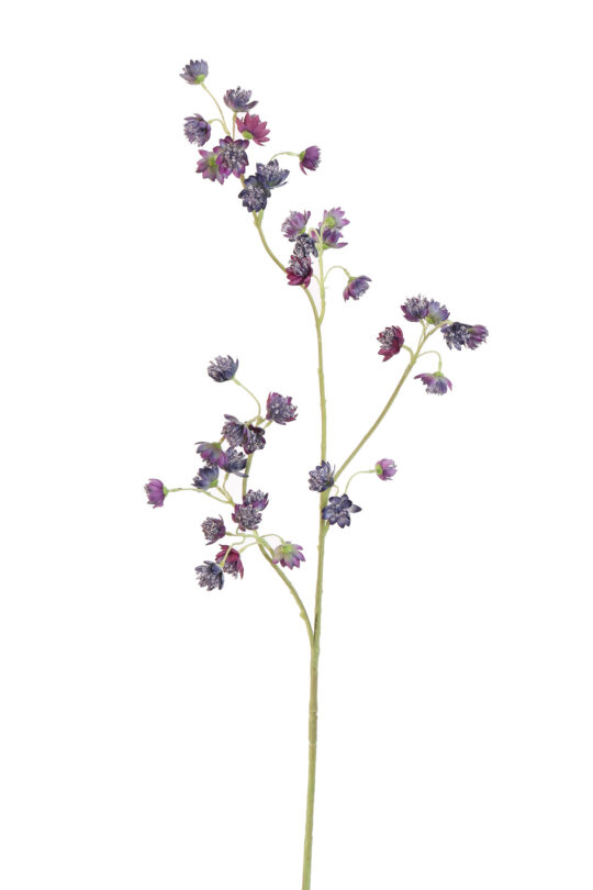 Kunstbloem Anstrantia - Paars - 85 cm