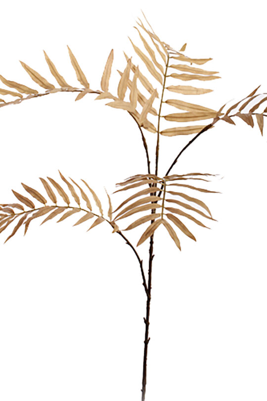 Kunstbloem Chamaedorea - Licht Bruin - 70 cm