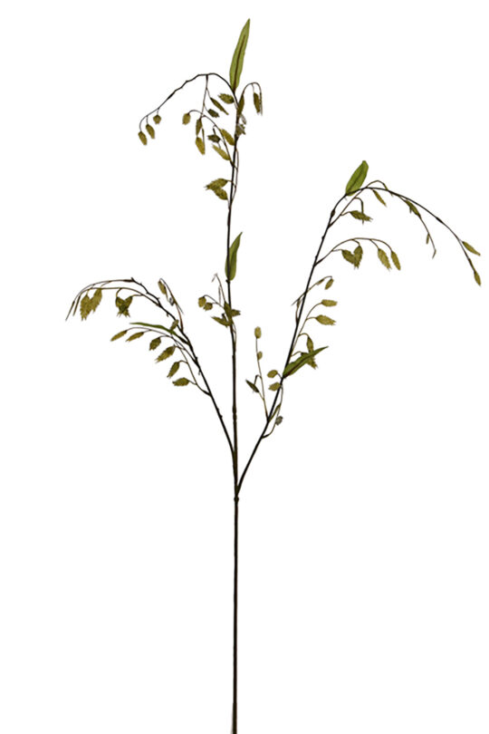 Kunstbloem Chasmanthium - Groen - 115 cm
