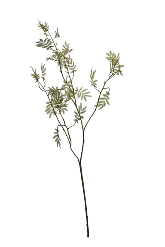 Kunstbloem Mimosa blad - Groen - 90 cm