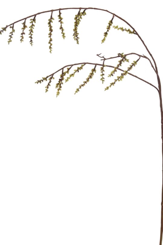 Kunstbloem Stachyurus - Groen - 105 cm