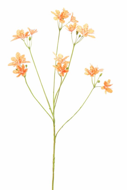 Kunstbloem Luipaardbloem Oranje - 67 cm