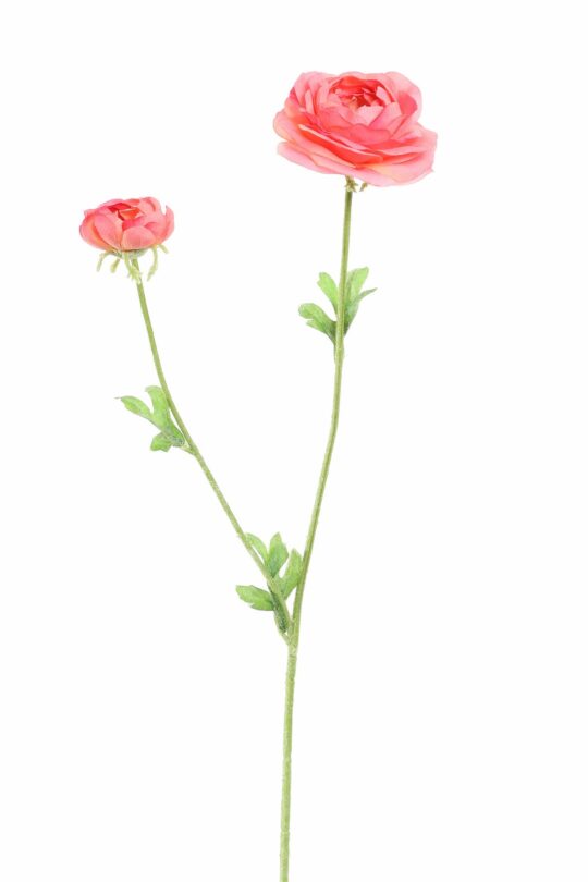Kunstbloem Ranonkel - Beauty - 62 cm