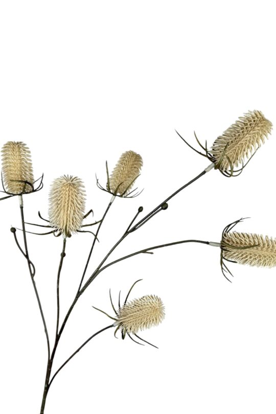 Kunstbloem Distel - Champagne - 87 cm