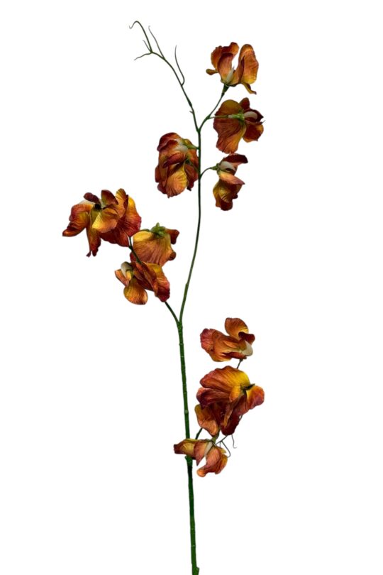 Kunstbloem Lathyrus - Bruin - 71 cm