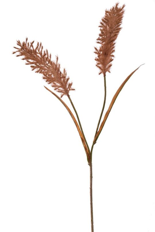 Kunstbloem Pluim - Bruin - 70 cm