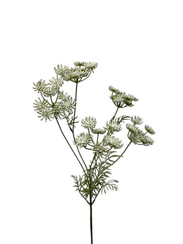 Kunstbloem Dille - Wit - 80 cm