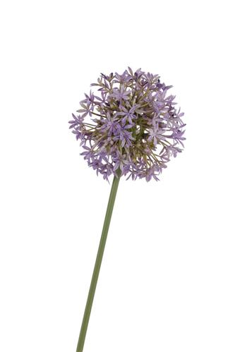 Kunstbloem Allium - Paars - 68 cm