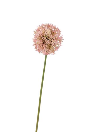 Kunstbloem Allium - Roze - 72 cm