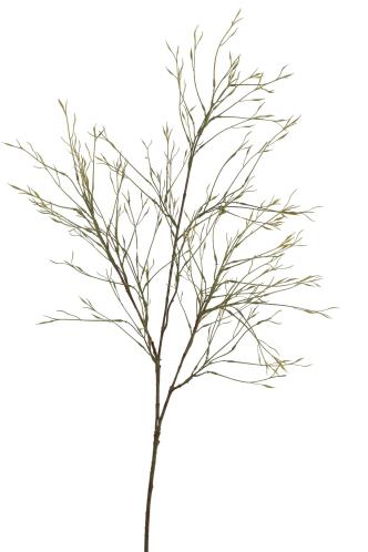 Kunstbloem Brem - Groen - 105 cm