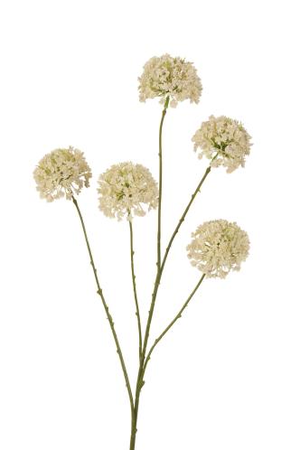 Kunstbloem Sneeuwbal - Creme - 75 cm