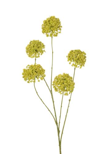 Kunstbloem Sneeuwbal - Groen - 75 cm