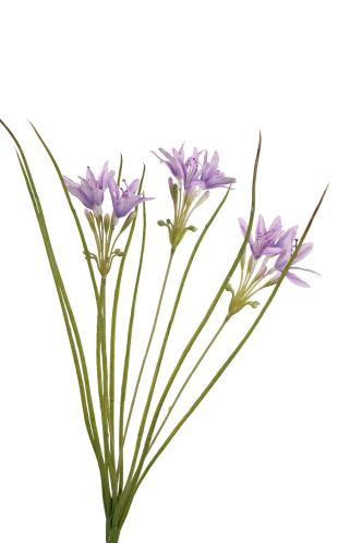 Kunstbloem Spray - Paars - 75 cm