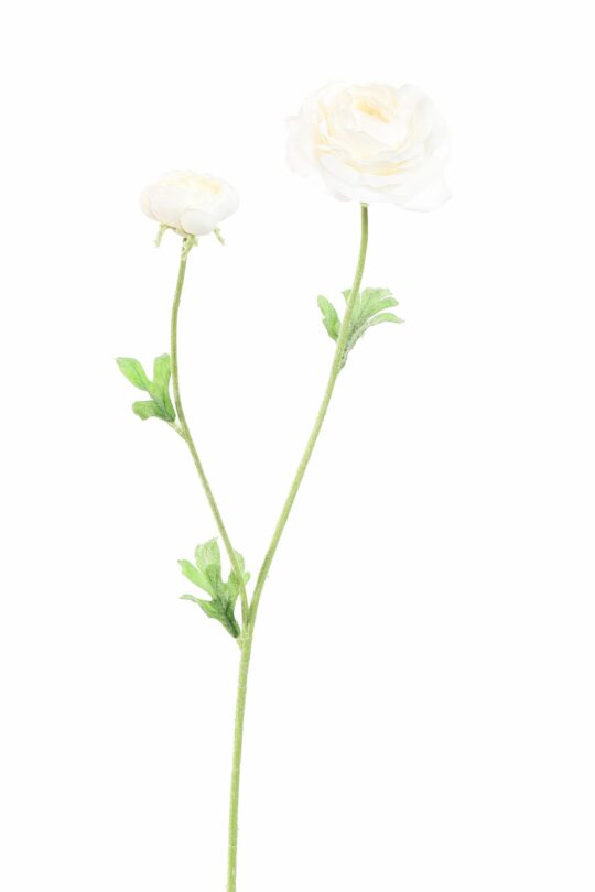 Kunstbloem Ranonkel - Wit - 64 cm