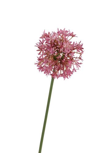 Kunstbloem Allium - Donker Roze - 68 cm