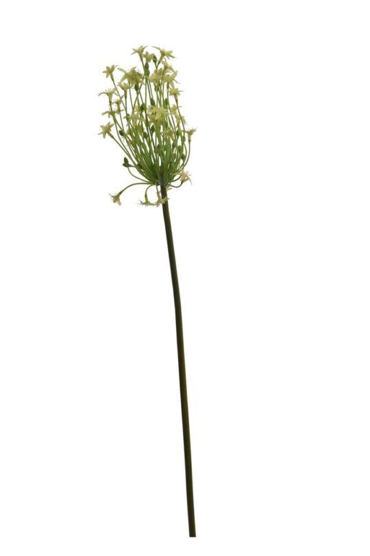 Kunstbloem Ornithogalum - Groen - 71 cm