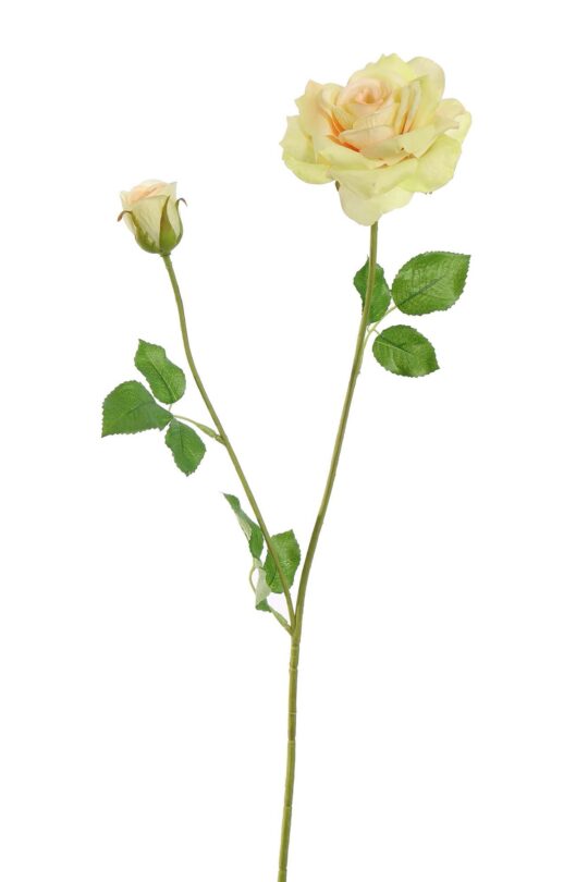 Kuntbloem Open roos - Groen - 65 cm