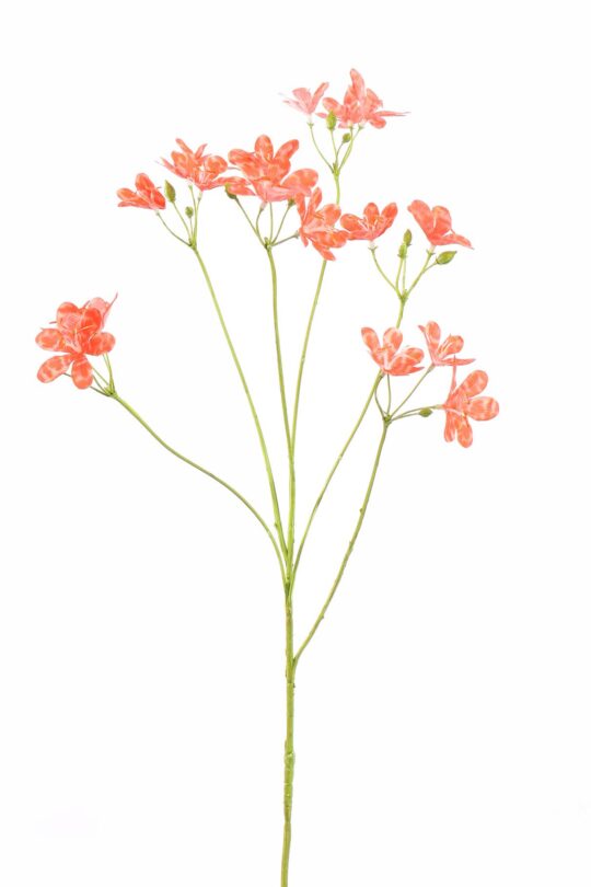 Kunstbloem Luipaardje - Rood - 67 cm