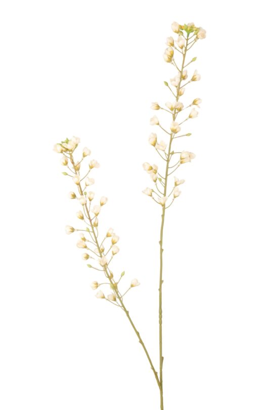 Kunstbloem Primula - Creme - 108 cm